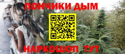 jwh Гатчина