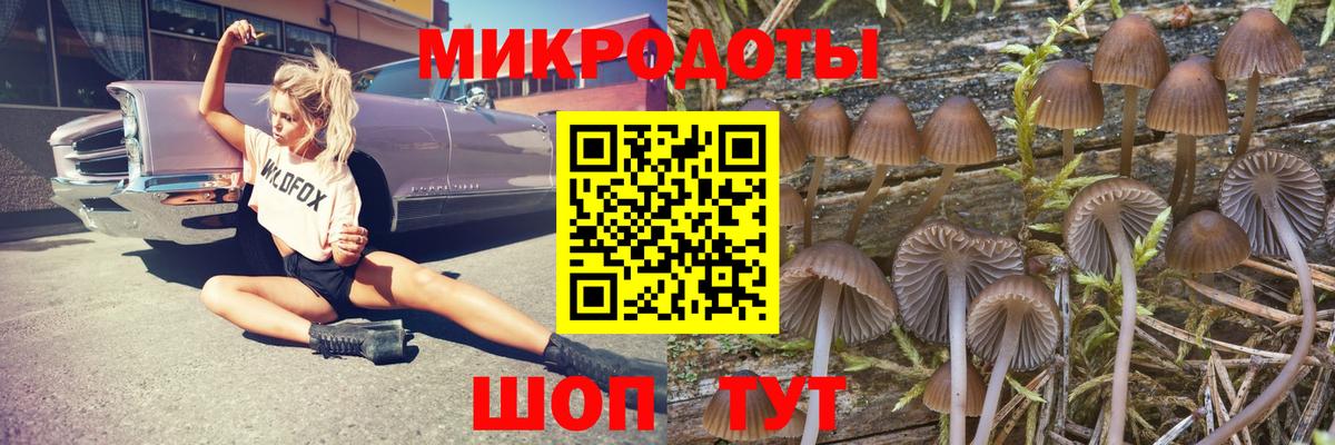 купить закладку  Вход с VPN  Котовск  Галлюциногенные грибы GOLDEN TEACHER 
