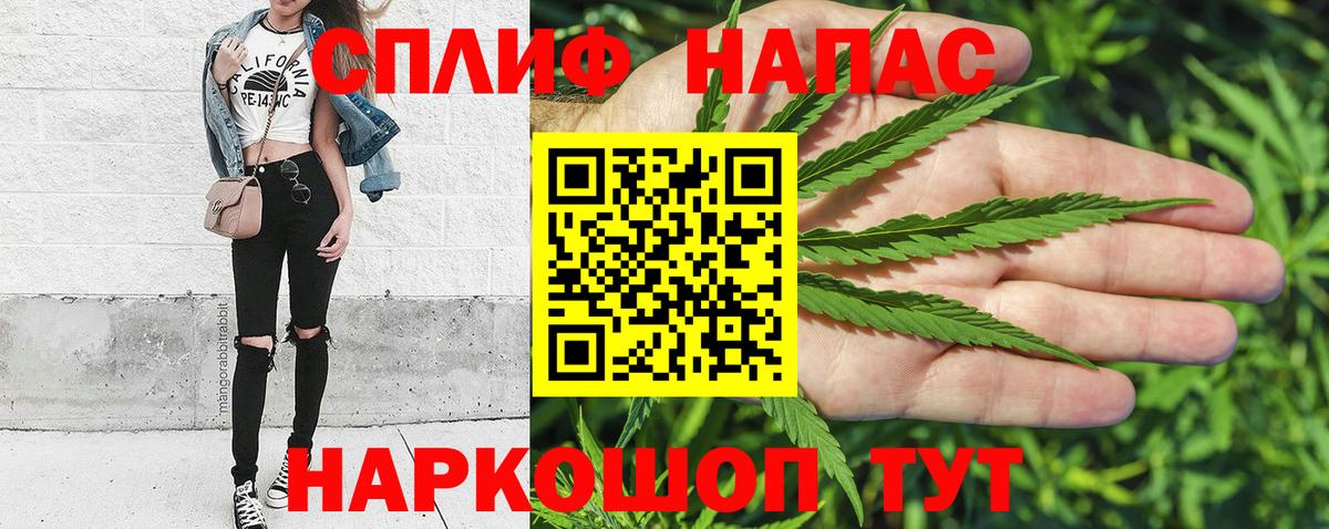 Марихуана сатива Котовск